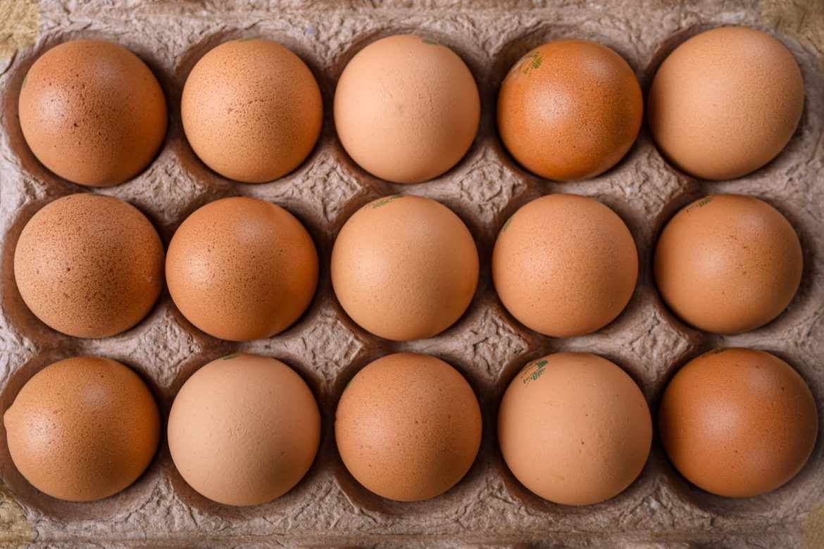 Role of protein in weight management