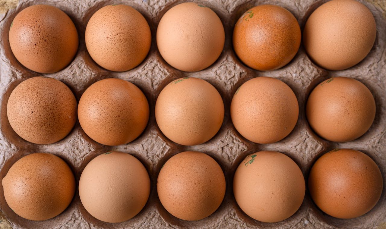 Role of protein in weight management